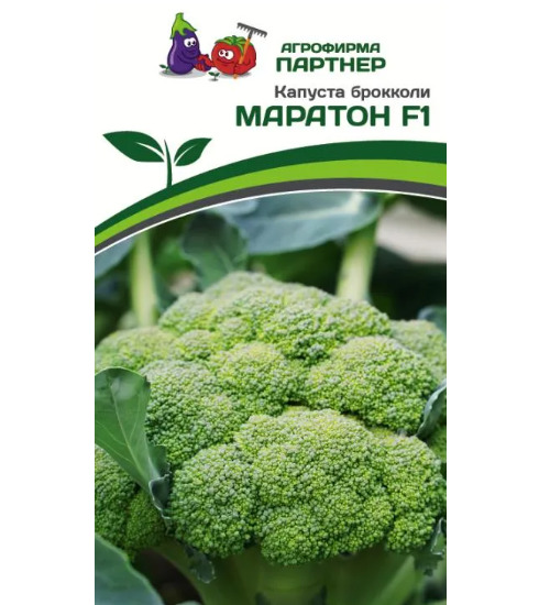 Капуста брокколи Маратон: описание и характеристики сорта, особенности ...