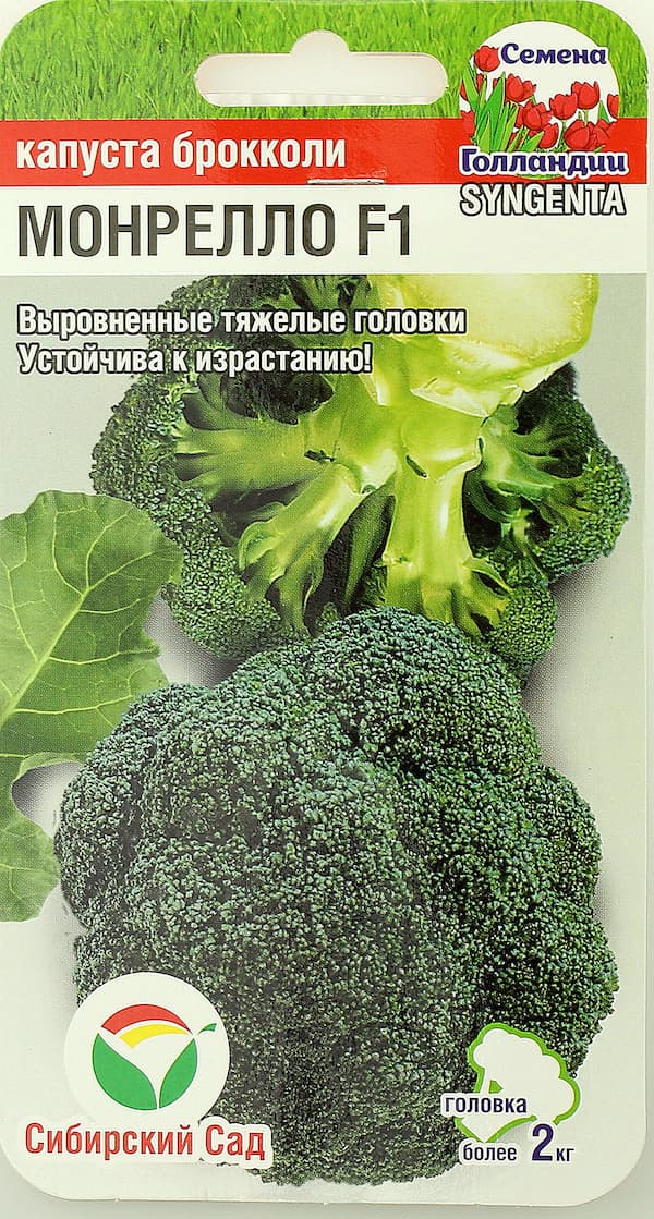 Капуста брокколи Монрелло: описание и характеристики сорта, особенности ...