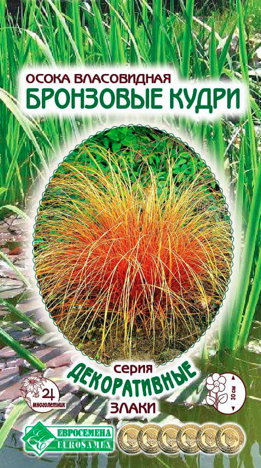 Осока власовидная Бронзовые Кудри: описание сорта, характеристики ...