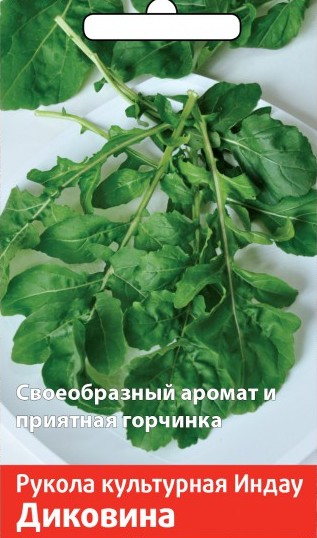 Рукола (индау) Диковина: описание сорта, характеристики, агротехника ...