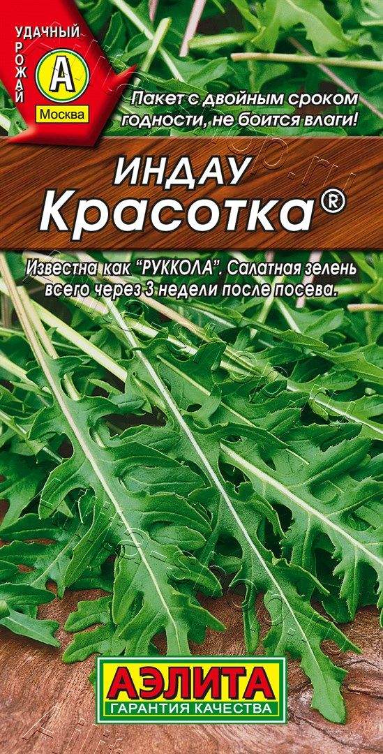 Рукола (индау) Красотка: описание сорта, характеристики, агротехника ...