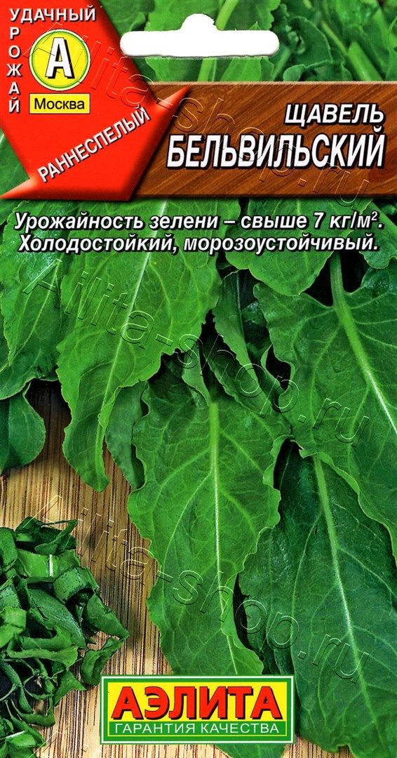 Щавель полезные свойства и вред применение приготовление и выращивание