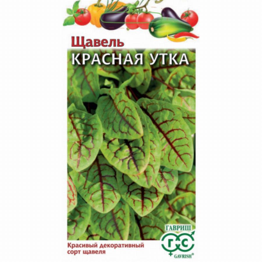 Щавель Красная утка: описание сорта, характеристики, агротехника ...