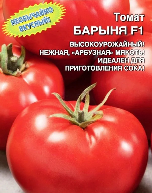 Томат Барыня: описание сорта помидоров, характеристики. Особенности ...
