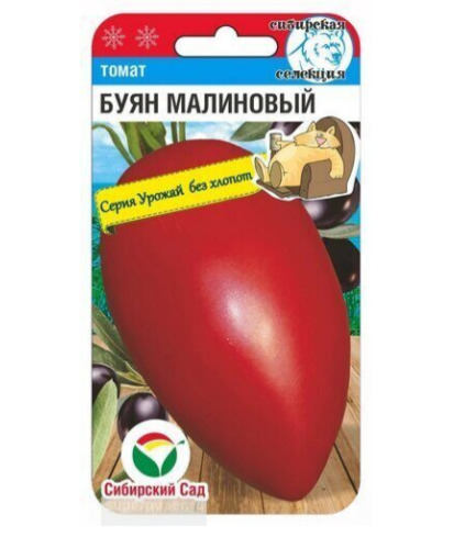 Томат Буян малиновый: описание сорта помидоров, характеристики ...