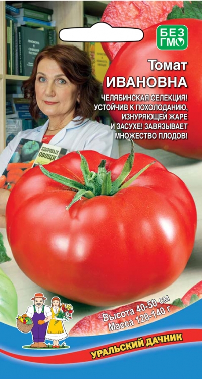 Томат Ивановна: описание сорта помидоров, характеристики. Особенности ...
