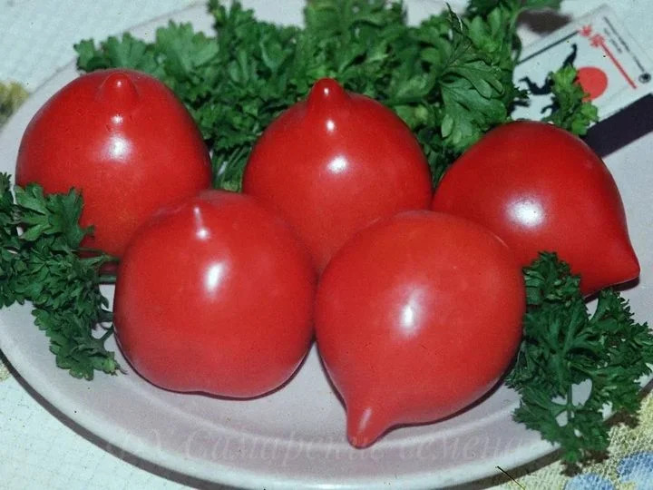 Томат Красная лиана: описание сорта помидоров, характеристики ...