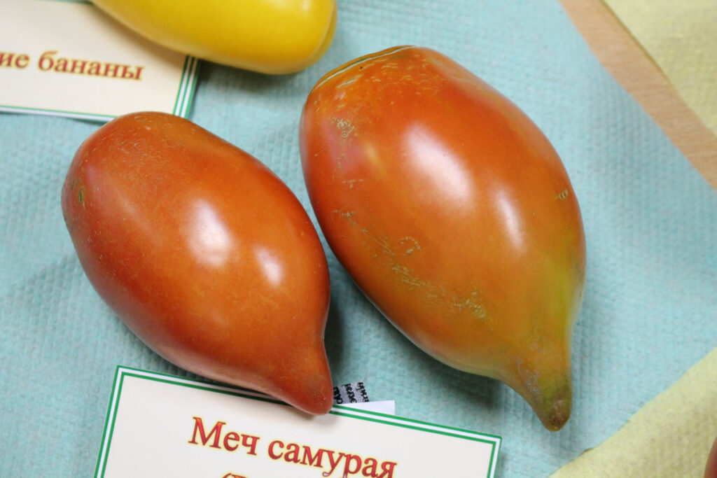 Томат Меч самурая: описание сорта помидоров, характеристики ...