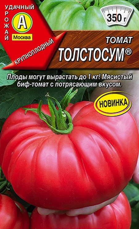 Томат Толстосум: описание сорта помидоров, характеристики. Особенности ...