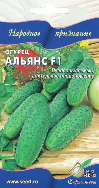 Огурец Альянс: описание и характеристики сорта, правила посадки и ...