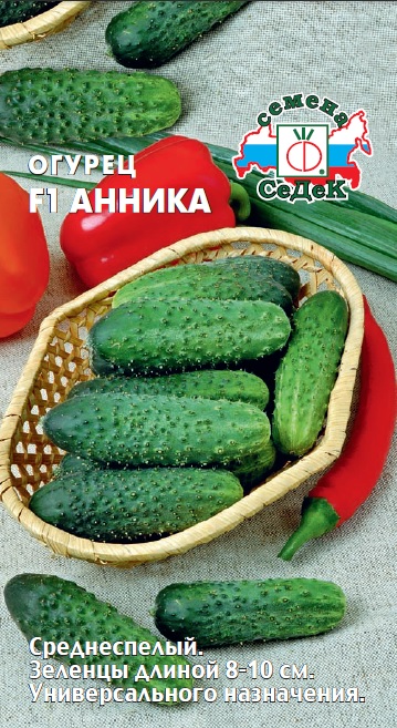 Огурец Анника: описание и характеристики сорта, правила посадки и ...