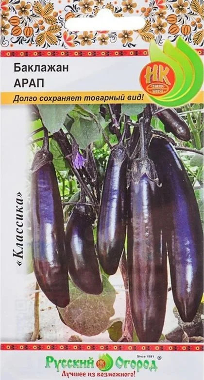 Баклажан Арап: описание и характеристика сорта, агротехника выращивания ...