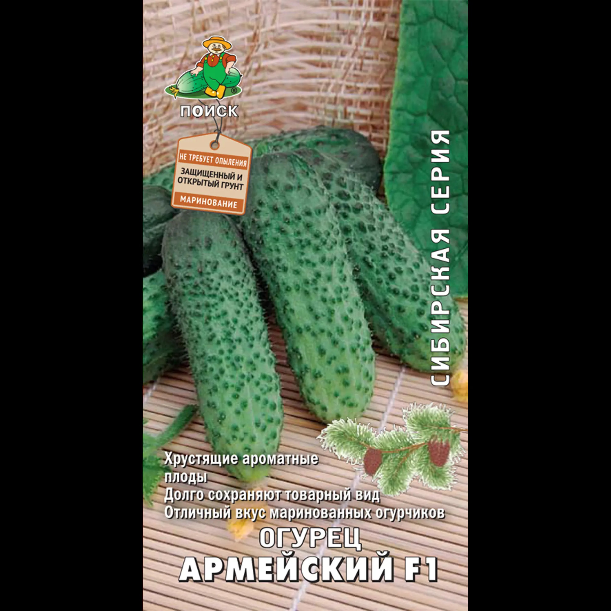 Огурец Армейский: описание и характеристики сорта, правила посадки и ...