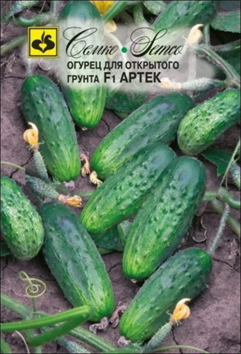 Огурец Артек: описание и характеристики сорта, правила посадки и ...