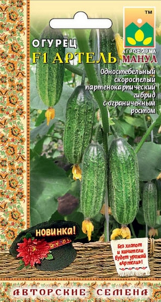 Огурец Артель: описание и характеристики сорта, правила посадки и ...