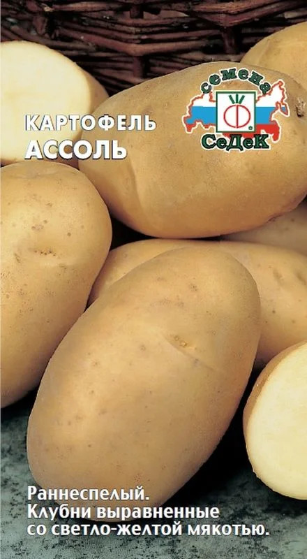 Картофель Аусония: описание и характеристики, особенности посадки и ...