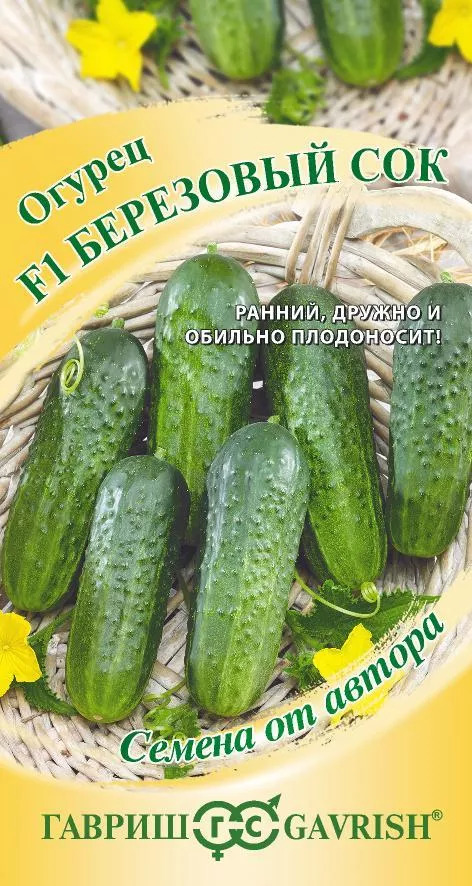 Огурец Берёзовый сок: описание и характеристики сорта, правила посадки ...