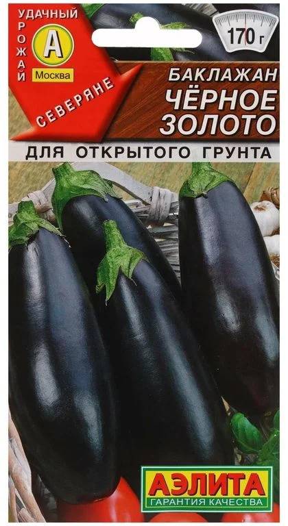 Баклажан Черное золото: описание и характеристика сорта, агротехника ...