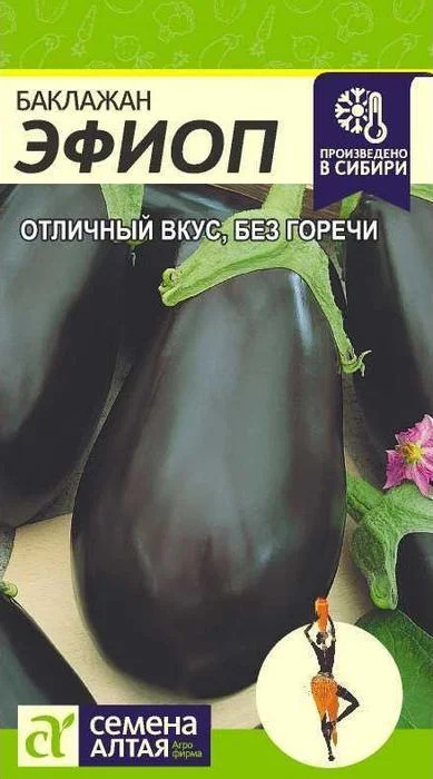 Баклажан Эфиоп: описание и характеристика сорта, агротехника ...