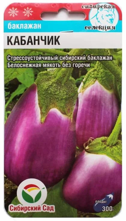 Баклажан Кабанчик: описание и характеристика сорта, агротехника ...