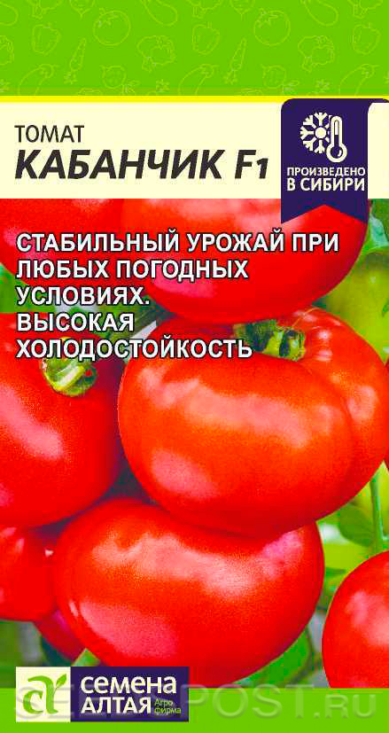 Томат Кабанчик: описание сорта помидоров, характеристики. Особенности ...