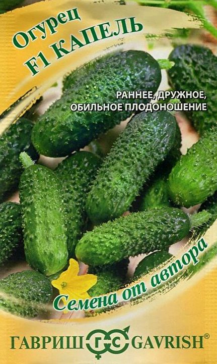 Огурец Капель: описание и характеристики сорта, правила посадки и ...
