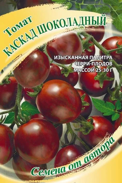 Томат Каскад шоколадный: описание сорта помидоров, характеристики ...