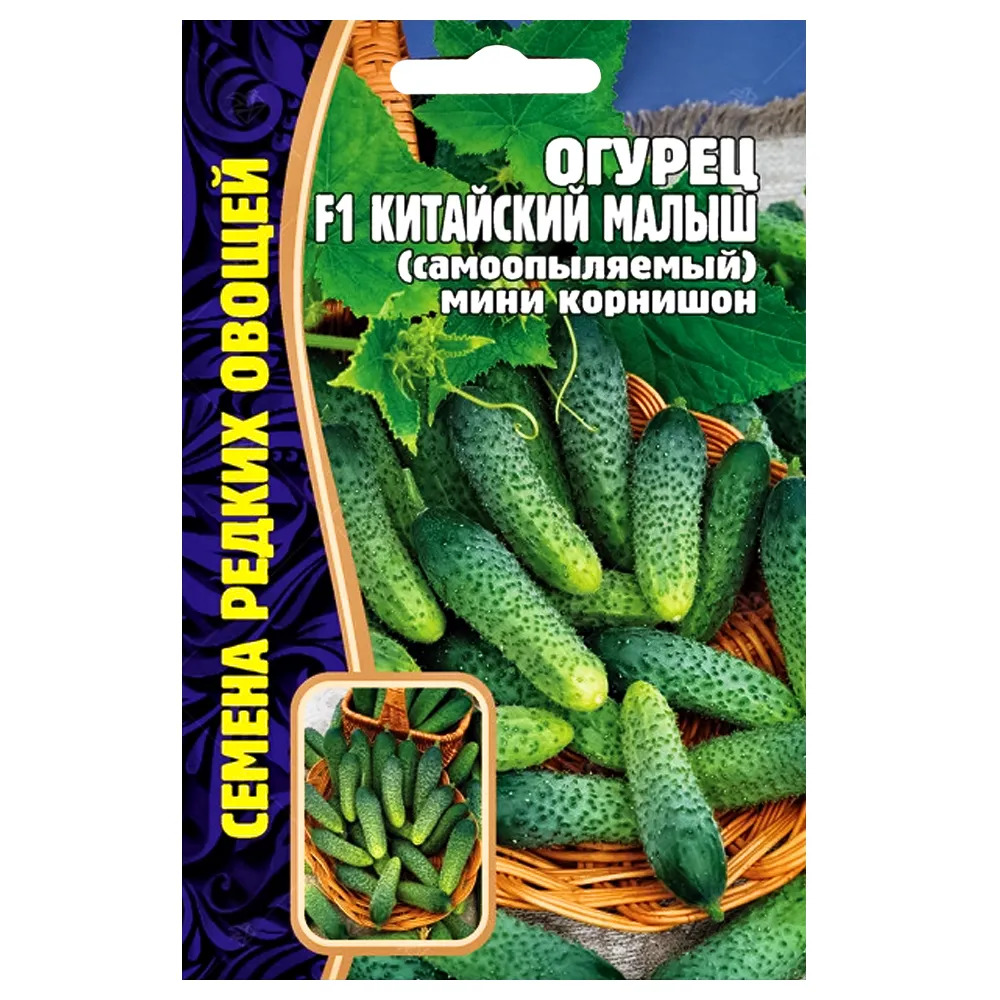 Огурец Китайский малыш: описание и характеристики сорта, правила ...
