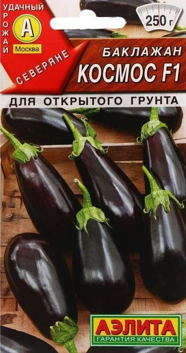 Баклажан Космос: описание и характеристика сорта, агротехника ...