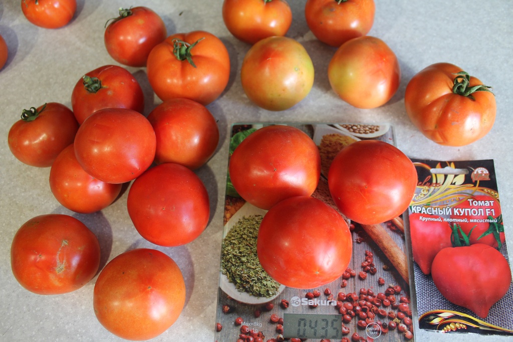 Томат Красный купол: описание сорта помидоров, характеристики ...