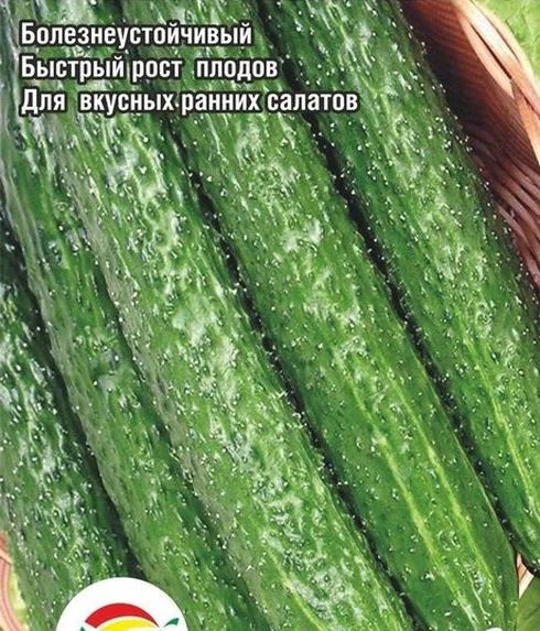 Огурец Маньчжурский император: описание и характеристики сорта, правила ...
