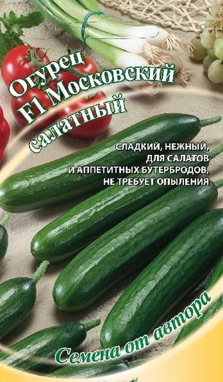 Огурец Московский салатный: описание и характеристики сорта, правила ...