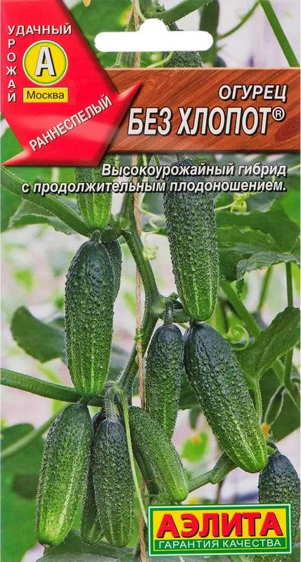 Огурец Ни забот, ни хлопот F1: описание и характеристики сорта, правила ...