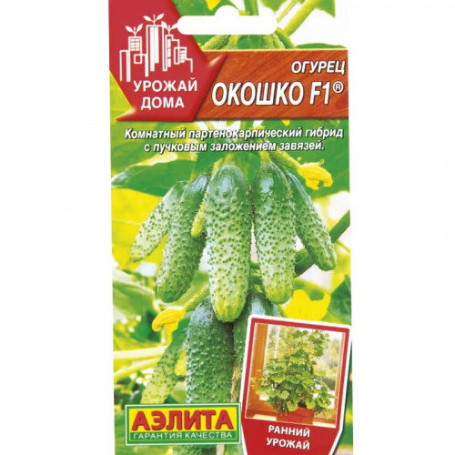 Огурец Окошко: описание и характеристики сорта, правила посадки и ...