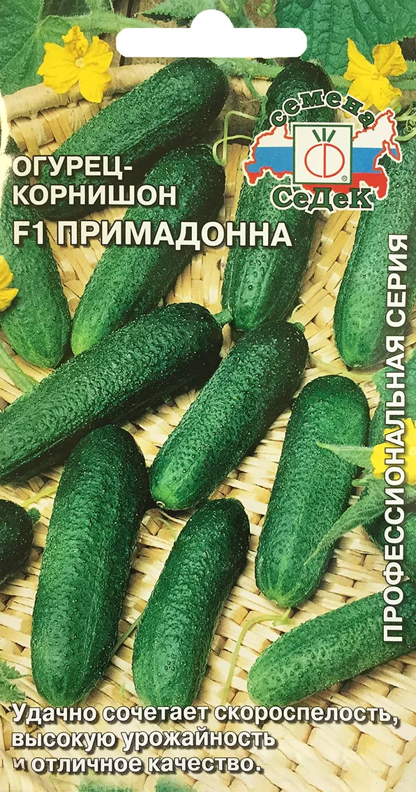 Огурец Примадонна: описание и характеристики сорта, правила посадки и ...