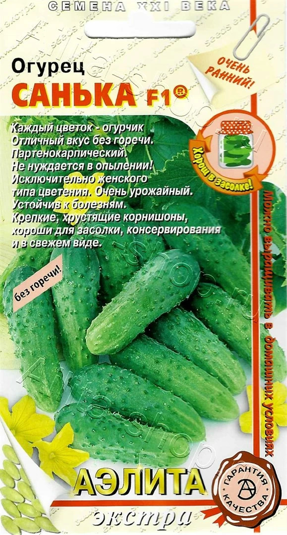 Огурец Санька: описание и характеристики сорта, правила посадки и ...