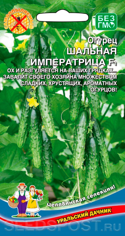 Огурец Шальная императрица: описание и характеристики сорта, правила ...
