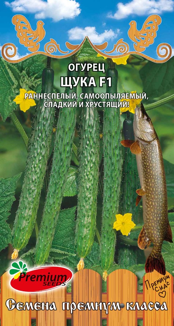 Огурец Щука: описание и характеристики сорта, правила посадки и ...