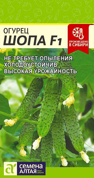 Огурец Шопа: описание и характеристики сорта, правила посадки и ...