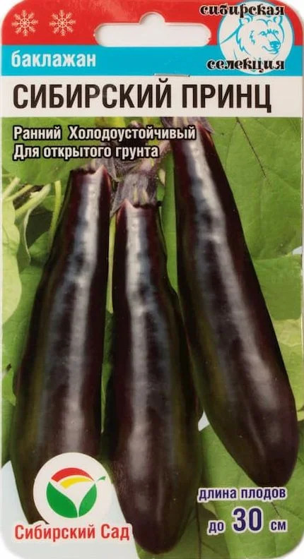 Баклажан Сибирский принц: описание и характеристика сорта, агротехника ...