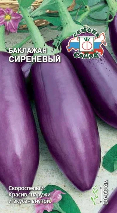 Баклажан Сиреневый: описание и характеристика сорта, агротехника ...