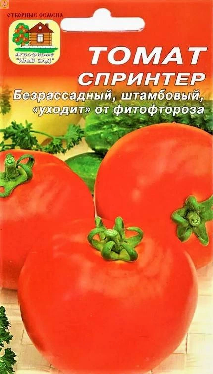 Томат Спринтер: описание сорта помидоров, характеристики. Особенности ...