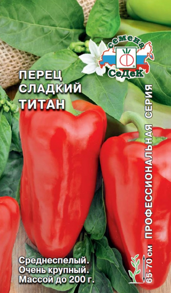 Перец Титан: описание сорта, характеристика плодов, агротехника ...