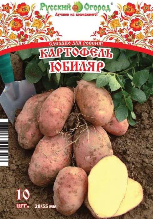 Картофель Юбиляр: описание и характеристики, особенности посадки и ...