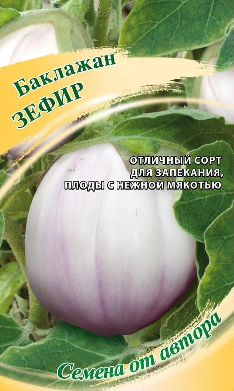 Баклажан Зефир: описание и характеристика сорта, агротехника ...