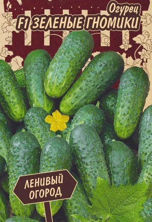 Огурец Зеленые гномики: описание и характеристики сорта, правила ...