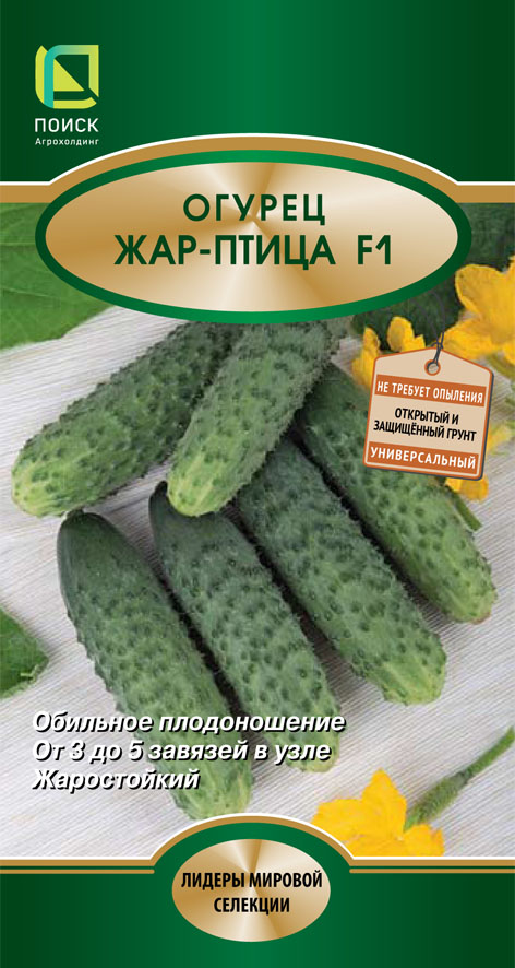 Огурец Жар-птица: описание и характеристики сорта, правила посадки и ...