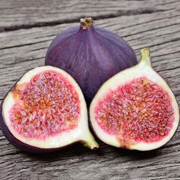 Инжир Айс Кристал: описание сорта, характеристики, особенности посадки ...