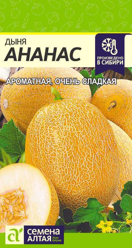 Дыня Ананас: описание и характеристики сорта, особенности посадки и ...
