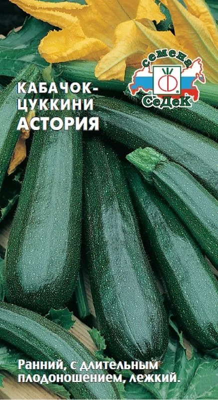 Кабачок Астория: описание и характеристики сорта, особенности посадки и ...